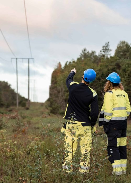 Elnat_gotland_host_stå